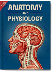 View sample ebook