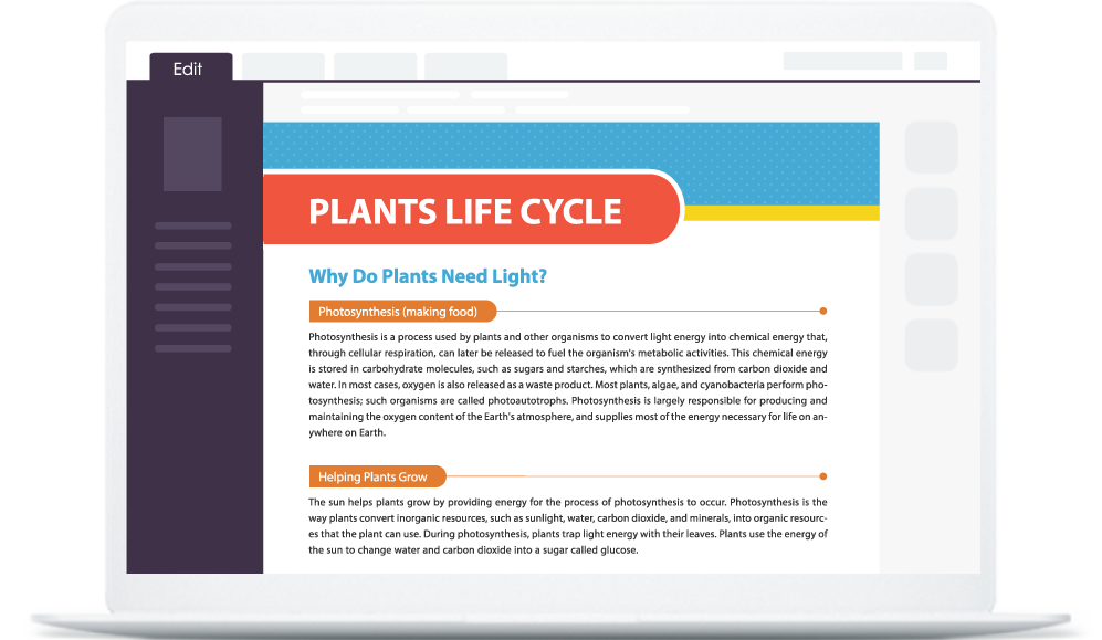Import or create from scratch
